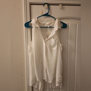 American Eagle Outfitters Sheer Pleated Back Blouse – Large – NWT